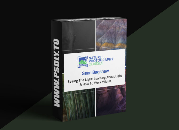 Nature Photography Classes - Sean Bagshaw - Sean Bagshaw - Seeing The Light: Learning About Light & How To Work With It 1 Nature Photography Classes - Sean Bagshaw - Sean Bagshaw - Seeing The Light: Learning About Light & How To Work With It