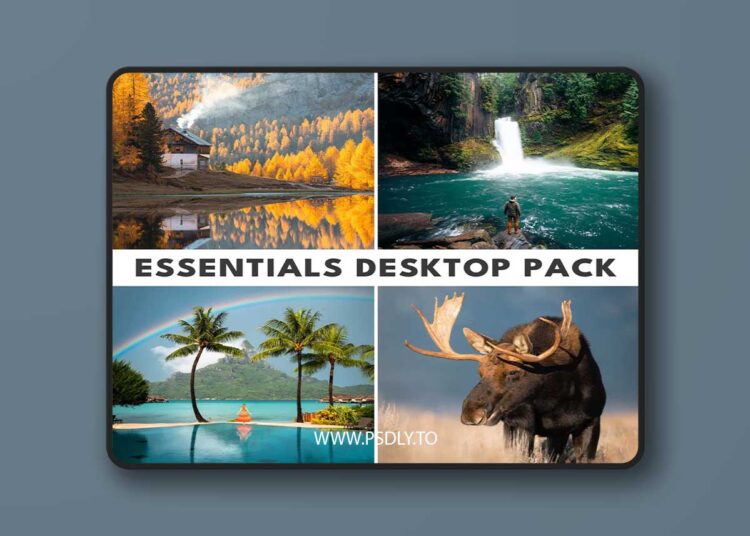 Renee Roaming - Photo Presets: Essentials Desktop Pack 1 Renee Roaming - Photo Presets: Essentials Desktop Pack
