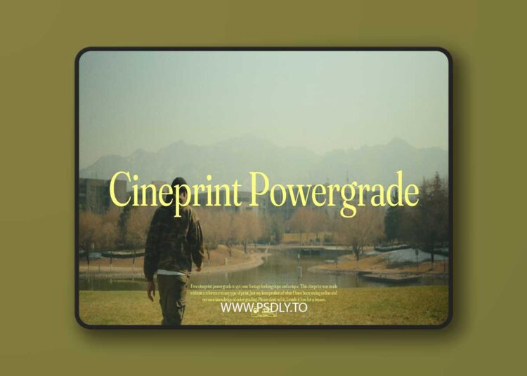 Roninxvi - Cineprint Powergrade 1 Roninxvi - Cineprint Powergrade