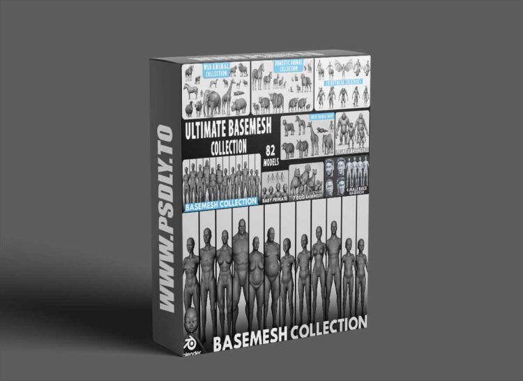 Superhivemarket - Ultimate Basemesh Collection - Topology + Uv Map 1 Superhivemarket - Ultimate Basemesh Collection - Topology + Uv Map