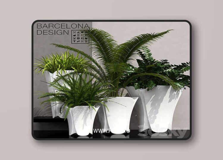 3dsky Pro - Barcelona design flowerpots set 02 1 3dsky Pro - Barcelona design flowerpots set 02