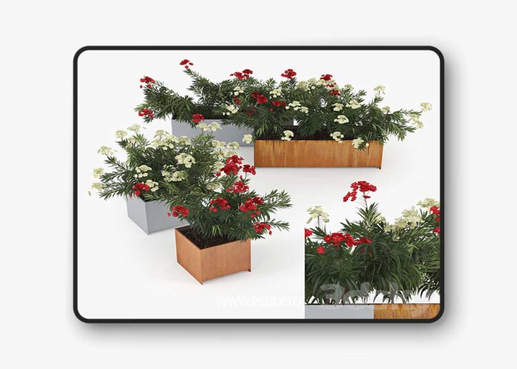 3dsky Pro - Flowerbed Nerium Planterworx - RANCH, TRUE SQUARE 1 3dsky Pro - Flowerbed Nerium Planterworx - RANCH, TRUE SQUARE