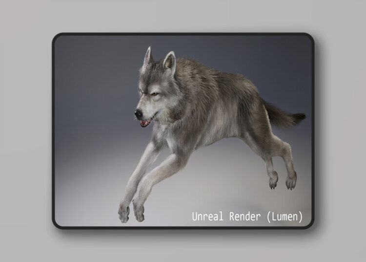 Animal Wolf (Fur-Groom) (5.1+) for Unreal Engine 1 Animal Wolf (Fur-Groom)