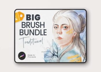 Big Brush Bundle for Procreate - 55 Brushes from 5 Packs