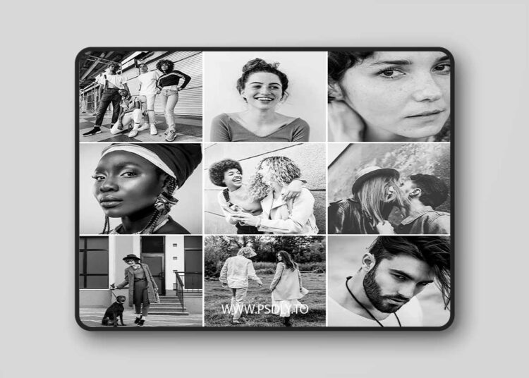 Black & White Lightroom Presets for Classic & Mobile 1 Black & White Lightroom Presets for Classic & Mobile