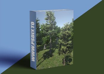 CGCookie - Fundamentals of Tree Creation