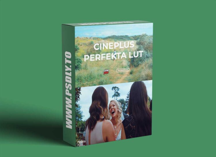 Cineplus - Perfekta LUT 1 Cineplus - Perfekta LUT