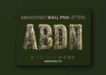 Deeezy - Abandoned Wall - 3D Lettering 54152