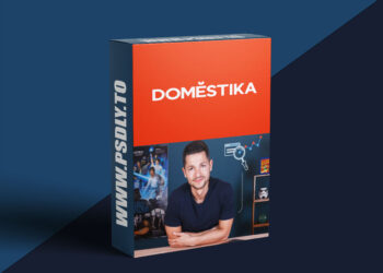 Domestika - Basic Principles of SEO