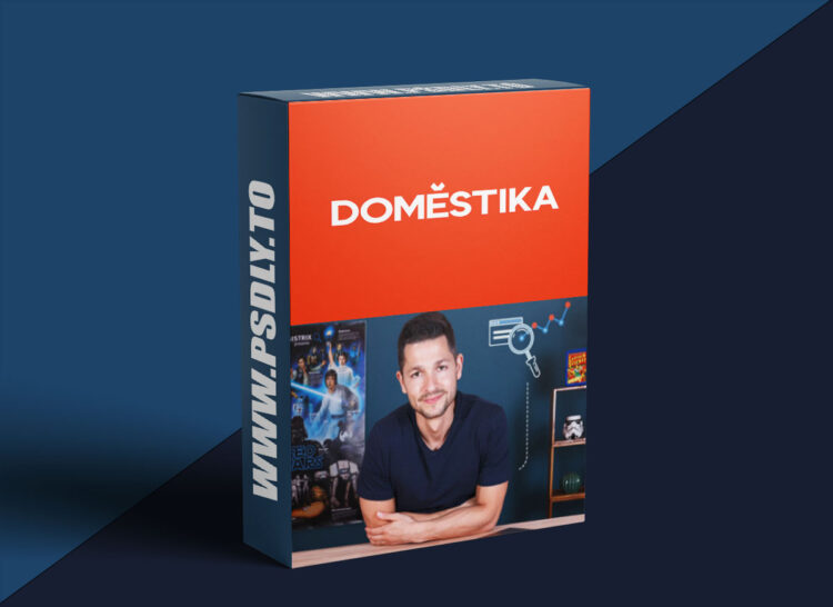 Domestika - Basic Principles of SEO 1 Domestika - Basic Principles of SEO