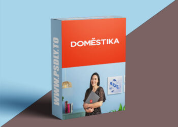 Domestika - Campaigns for E-commerce: Google Shopping and Facebook Ads