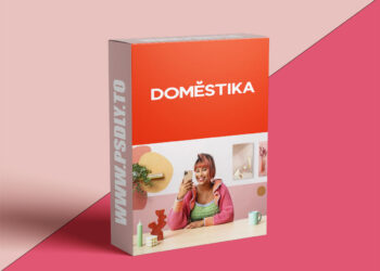 Domestika - Creative Content for Brands: Create a Set at Home