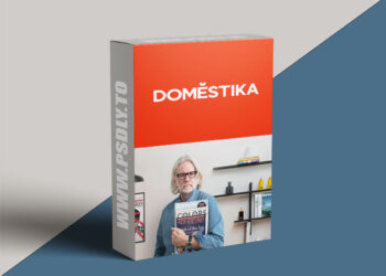 Domestika - Innovative Design Systems for Editorial and Digital Media