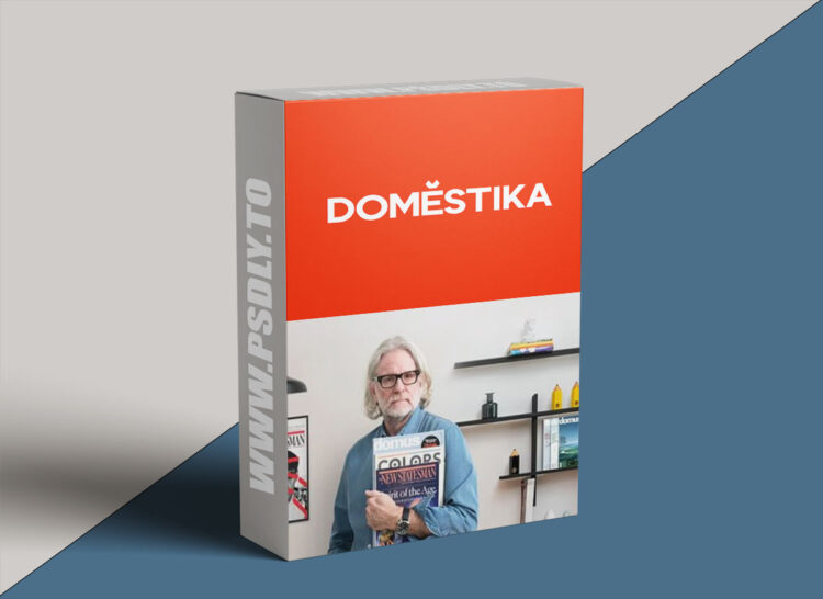Domestika - Innovative Design Systems for Editorial and Digital Media 1 Domestika - Innovative Design Systems for Editorial and Digital Media