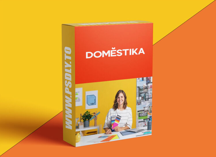 Domestika - Visual Identity for Creatives and Brands 1 Domestika - Visual Identity for Creatives and Brands