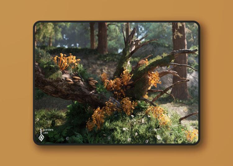 Forest Fungi - Mushroom Pack (5.1+) 1 Forest Fungi - Mushroom Pack