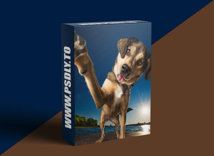 KelbyOne - The Inspirational Interview with Professional Dog Photographer Kaylee Greer 1 KelbyOne - The Inspirational Interview with Professional Dog Photographer Kaylee Greerv