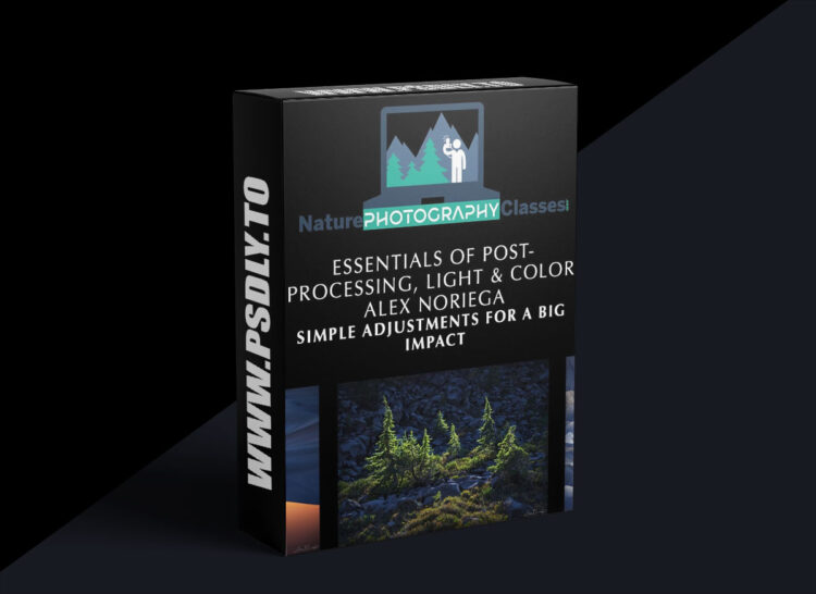 Naturephotographyclasses - Alex Noriega – Simple Adjustments for a Big Impact 1 Naturephotographyclasses - Alex Noriega – Simple Adjustments for a Big Impact