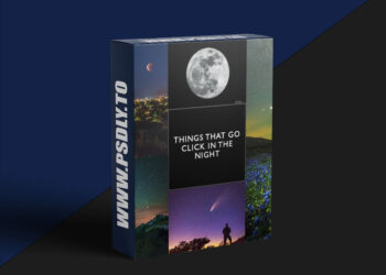 Naturephotographyclasses - Field to Finish - Things that Go Click in the Night