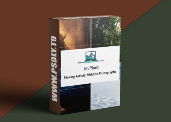 Naturephotographyclasses - Ian Plant - Making Artistic Wildlife Photographs