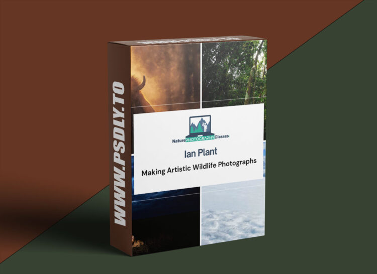 Naturephotographyclasses - Ian Plant - Making Artistic Wildlife Photographs 1 Naturephotographyclasses - Ian Plant - Making Artistic Wildlife Photographs
