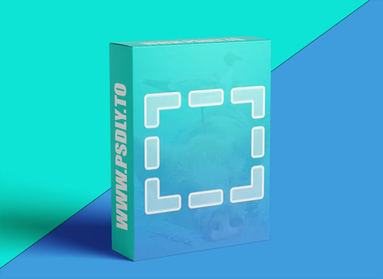Phlearn - How to Use the Marquee Tool in Photoshop 1 Phlearn - How to Use the Marquee Tool in Photoshop