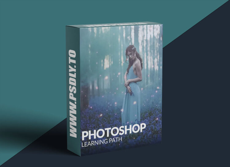 Phlearn - Photoshop Learning Path 1 Phlearn - Photoshop Learning Path