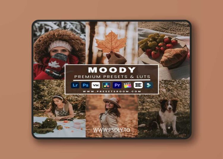 Presetsroom - Moody Lightroom Presets & Luts Collection 1 Presetsroom - Moody Lightroom Presets & Luts Collection