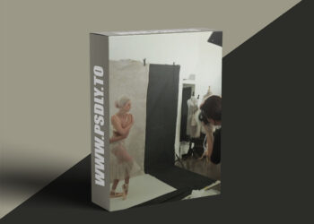 The Portrait System - Pink Dancer