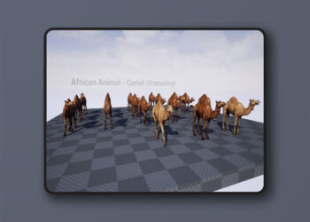 African Animal - Camel (Dromedary) (4.27+)