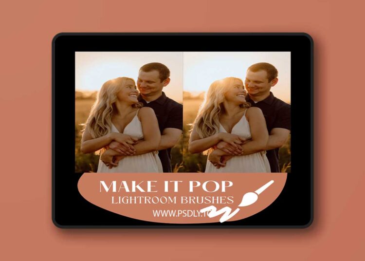 Cassidy Lynne - Make It Pop Lightroom Brushes 1 Cassidy Lynne - Make It Pop Lightroom Brushes