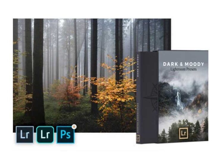 Dark & Moody - Mobile & Desktop Lightroom Presets Pack 1 Dark & Moody - Mobile & Desktop Lightroom Presets Pack