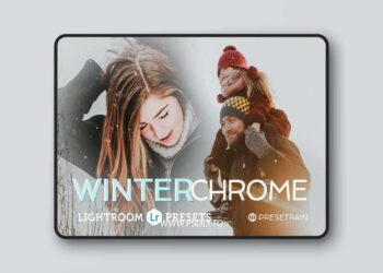 DesignBundles - WinterChrome Lightroom Presets 12062