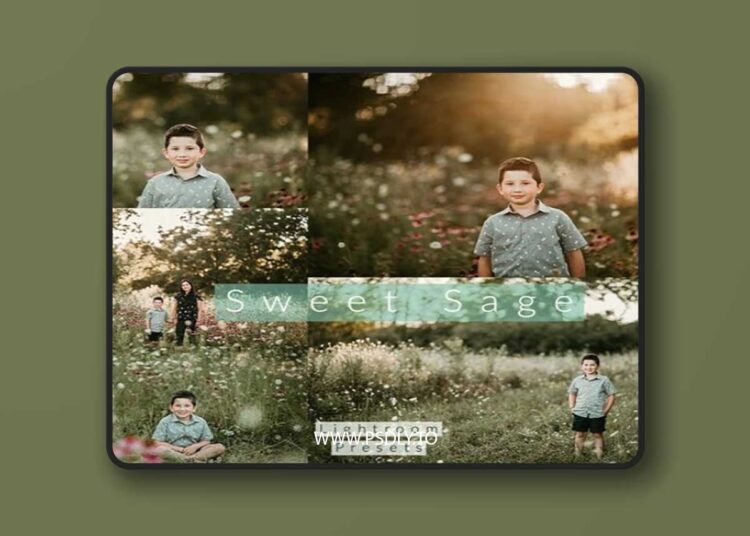 Lemon & Lace Presets - Sweet Sage 1 Lemon & Lace Presets - Sweet Sage