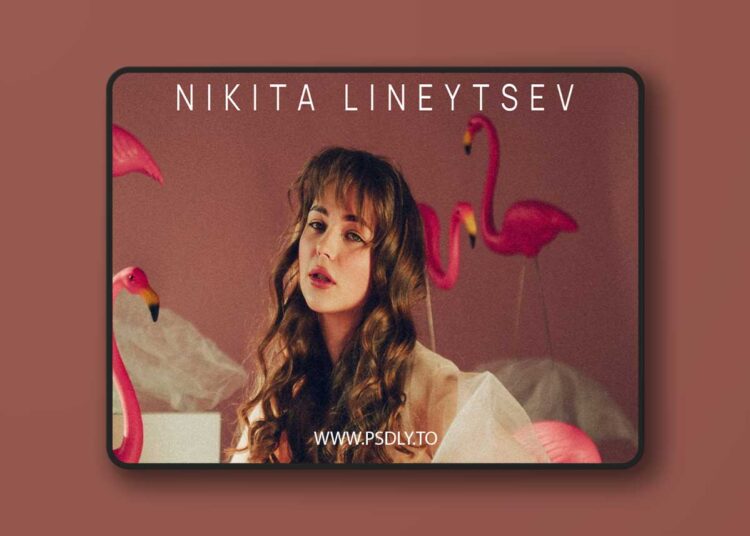 LinNik The Best - Nikita Lineytsev 2024 Presets 1 LinNik The Best - Nikita Lineytsev 2024 Presets