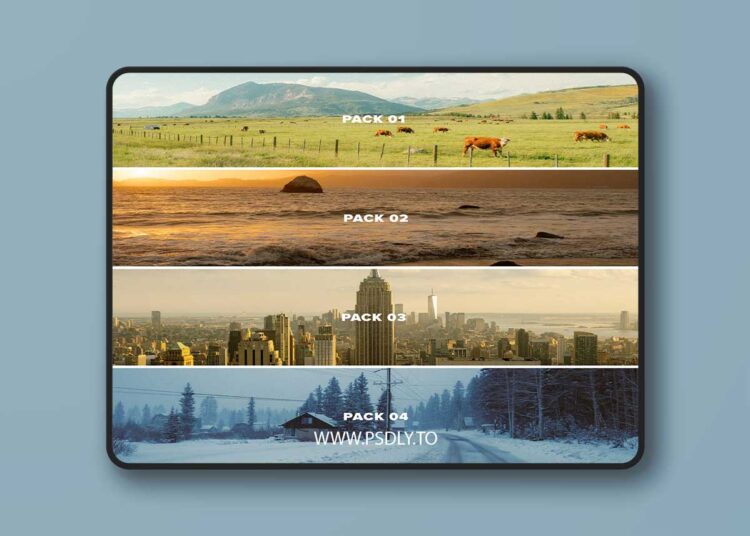 Media by AV - AV FILM SIMS - BUNDLE (4 PACKS) 1 Media by AV - AV FILM SIMS - BUNDLE (4 PACKS)