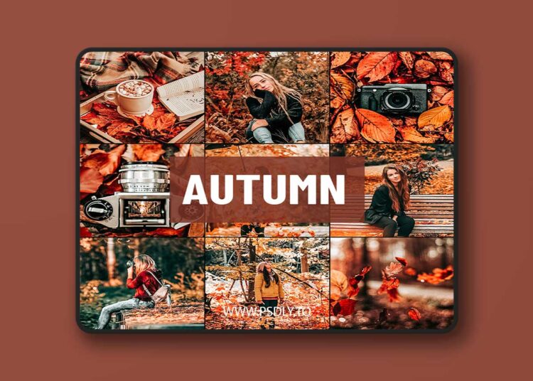 Psd Stack - Autumn Lightroom Presets 1 Psd Stack - Autumn Lightroom Presets