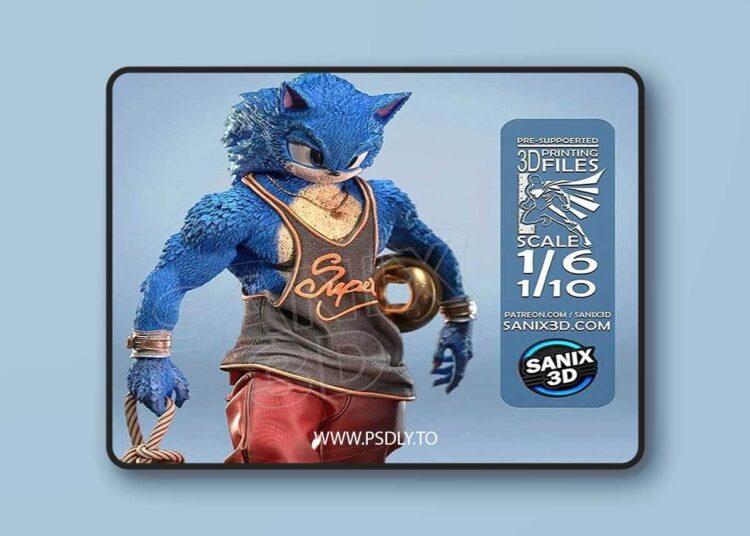Sanix – Super SONIC – 3D Print 1 Sanix – Super SONIC – 3D Print