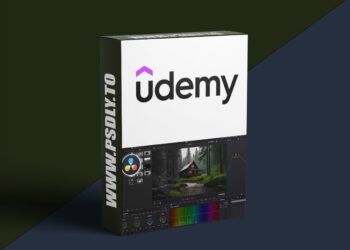 Udemy – Complete Davinci Resolve 20 Bootcamp - Fusion - Particles