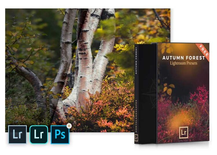 Autumn Forest - Mobile & Desktop Lightroom Presets Pack 1 Autumn Forest - Mobile & Desktop Lightroom Presets Pack