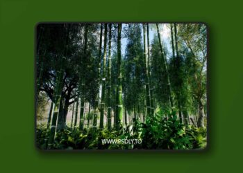 Bamboo Asian forest (4.27+)