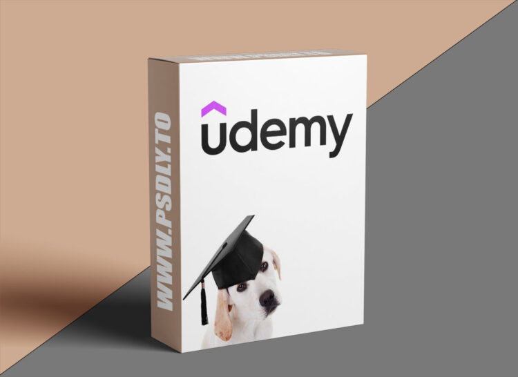 Udemy – Business Math for the Math-Averse 1 Business Math for the Math-Averse
