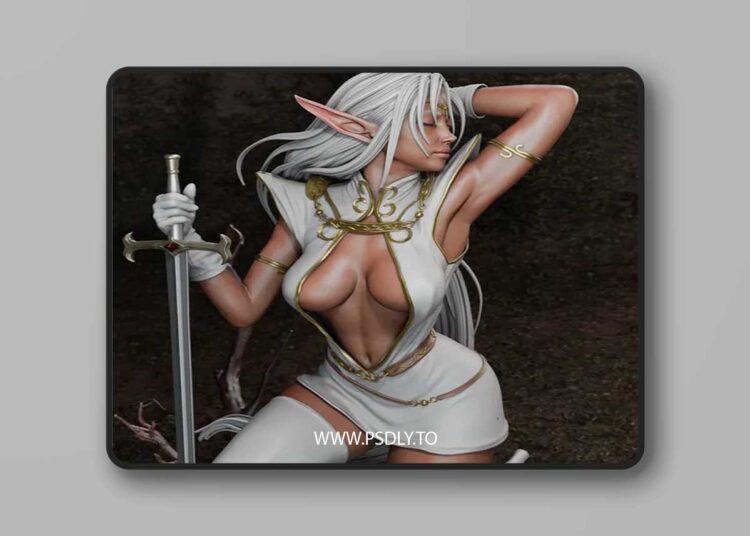 CA 3D Studios – Pirotess – 3D Print 1 CA 3D Studios – Pirotess – 3D Print