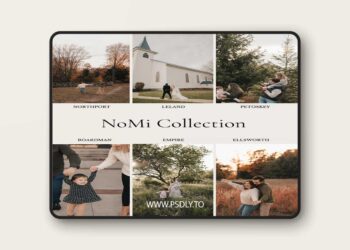 Cedar Sage - NoMi Preset Collection