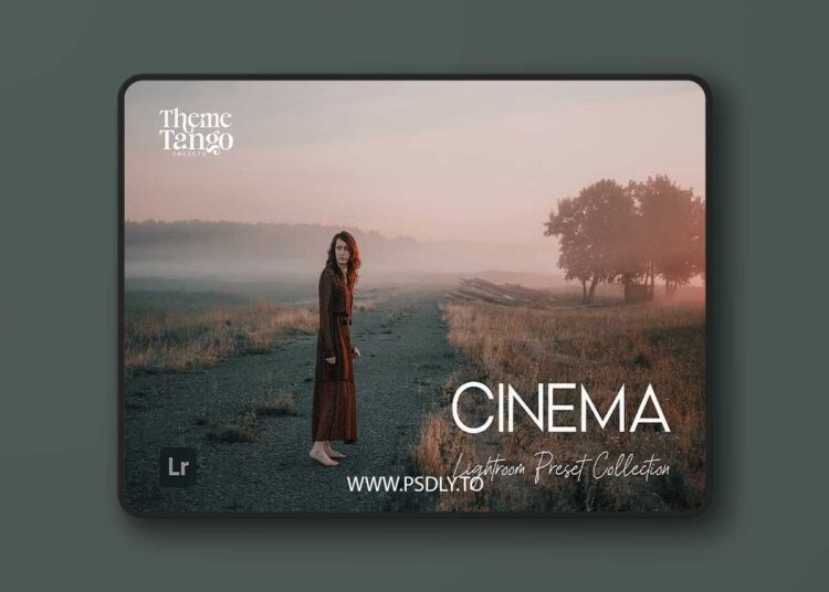 CreativeMarket - 9 Cinematic Lightroom Presets 291169651 1 CreativeMarket - 9 Cinematic Lightroom Presets 291169651