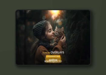 Creativemarket - Sunrays transparent PNG overlays