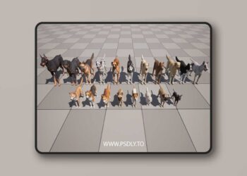 Dogs Big pack (5.1+)