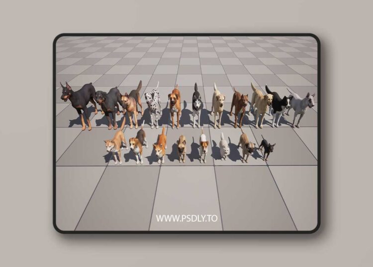 Dogs Big pack (5.1 – 5.8) for Unreal Engine 1 Dogs Big pack (5.1+)