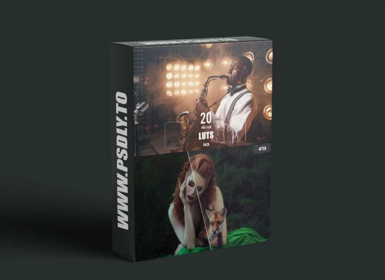 Eldamar Studio - 20 Pro Film LUTs Pack 1 Eldamar Studio - 20 Pro Film LUTs Pack