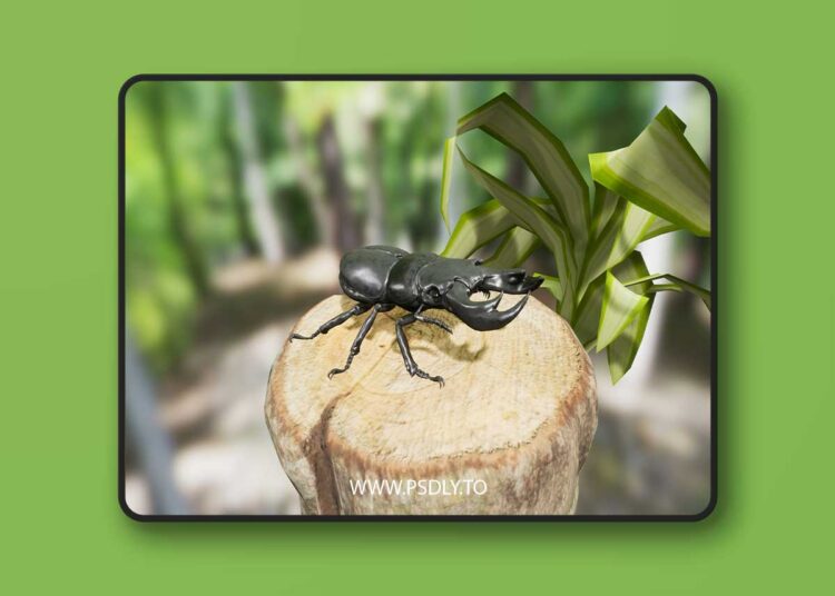 Insect Pack (4.19 - 4.27) for Unreal Engine 1 Insect Pack (4.19 - 4.27)